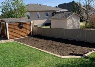 landscaping back yard